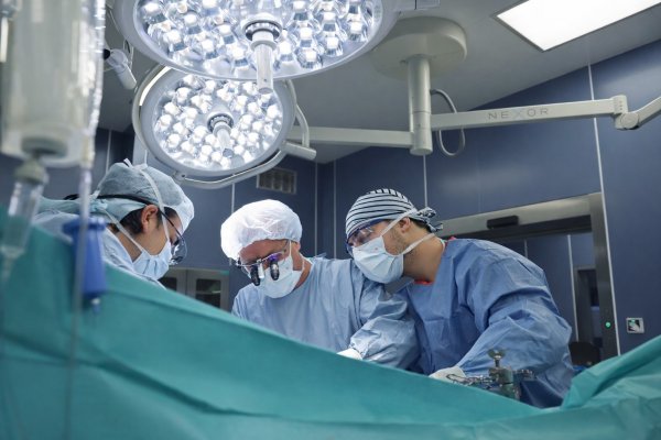 Снимка: ВМА