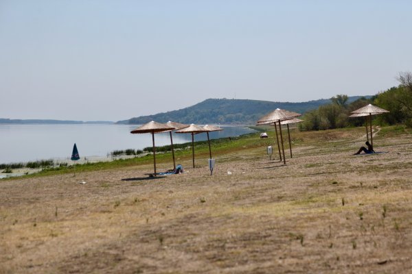 Димитър Кьосемарлиев, Dnes.bg