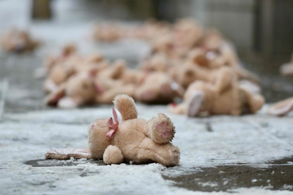 Снимка: Димитър Кьосемарлиев, Dnes.bg