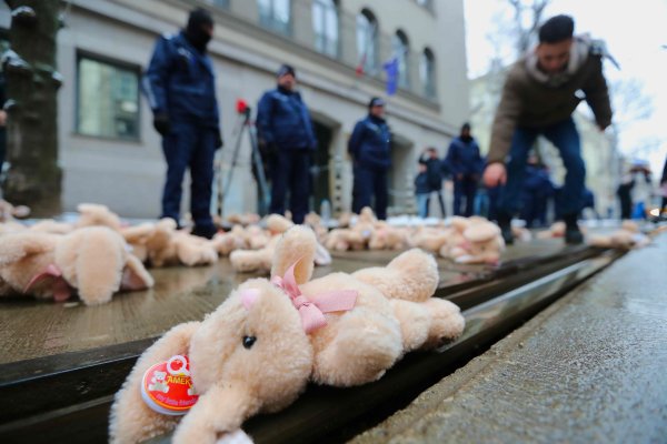 Снимка: Димитър Кьосемарлиев, Dnes.bg