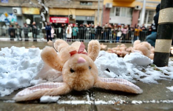 Снимка: Димитър Кьосемарлиев, Dnes.bg