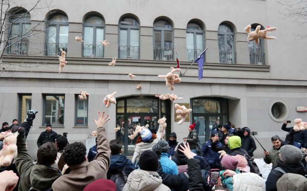 Снимка: Димитър Кьосемарлиев, Dnes.bg