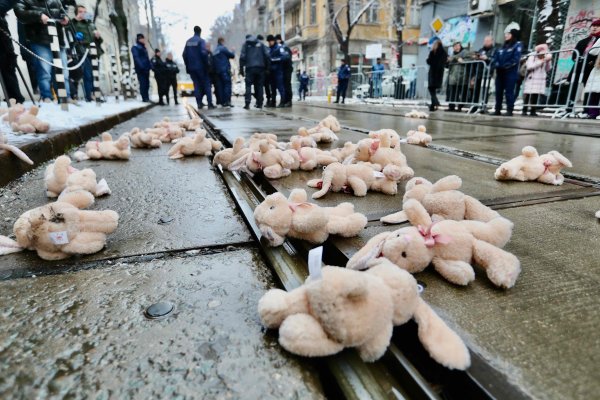 Снимка: Димитър Кьосемарлиев, Dnes.bg