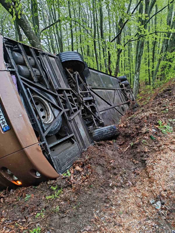 Снимки: БГНЕС