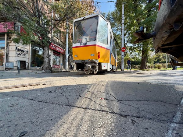 Снимка: Димитър Кьосемарлиев / Dnes.bg