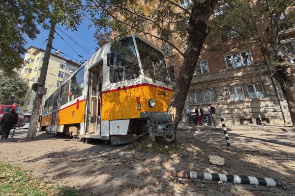 Снимка: Димитър Кьосемарлиев / Dnes.bg