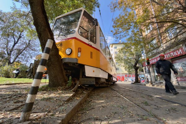 Снимка: Димитър Кьосемарлиев / Dnes.bg