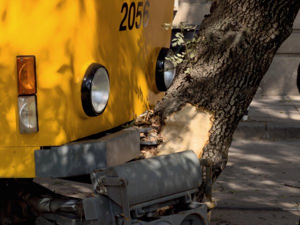 Снимка: Димитър Кьосемарлиев / Dnes.bg