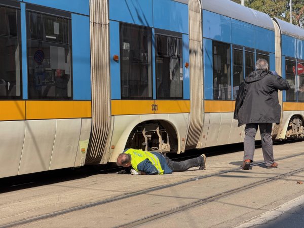 Снимка: Димитър Кьосемарлиев / Dnes.bg