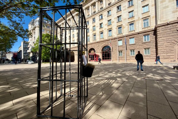 Снимка: Димитър Кьосемарлиев, Dnes.bg