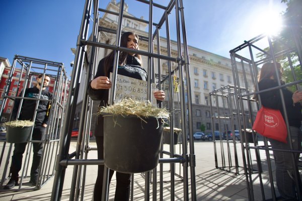 Снимка: Димитър Кьосемарлиев, Dnes.bg