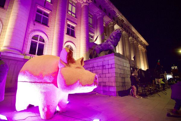 Снимка: Димитър Кьосемарлиев, Dnes.bg