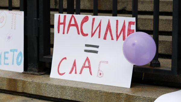Снимка: БГНЕС