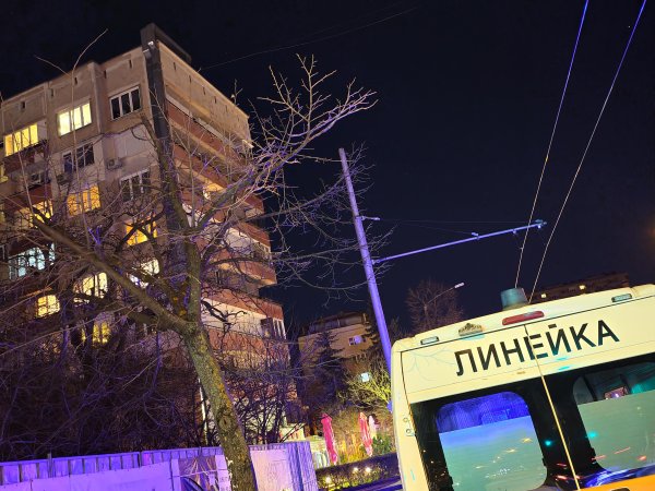 Снимка: БГНЕС