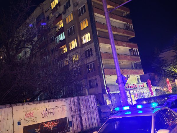 Снимка: БГНЕС