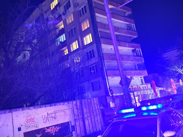 Снимка: БГНЕС