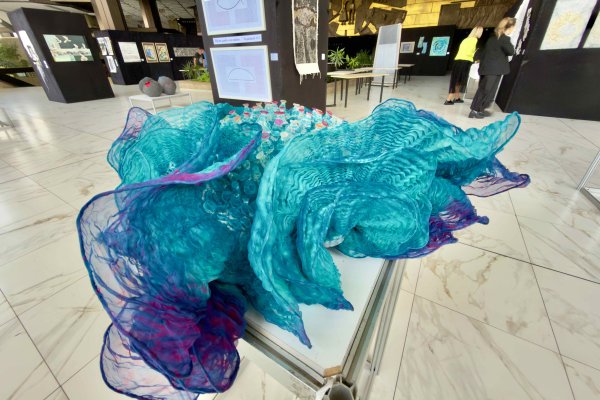 Снимки: Димитър Кьосемарлиев, Dnes.bg