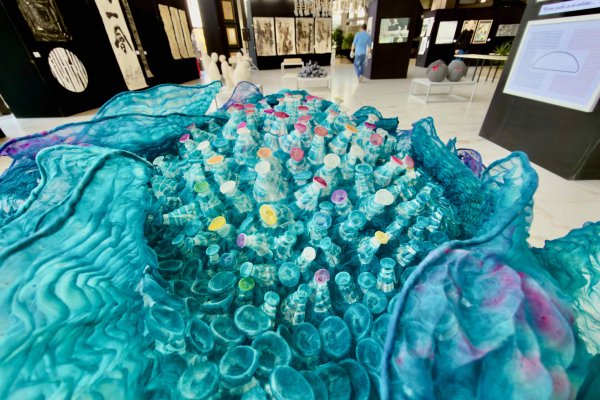 Снимки: Димитър Кьосемарлиев, Dnes.bg