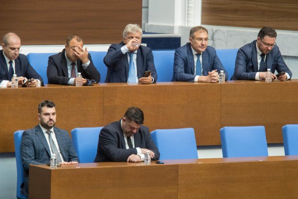 Снимка: Димитър Кьосемарлиев, Dnes.bg