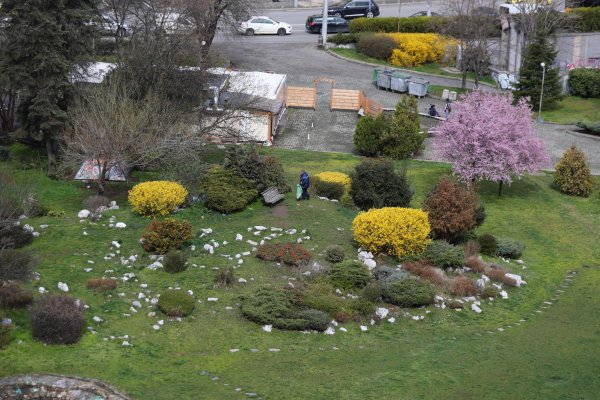 Димитър Кьосемарлиев, Dnes.bg