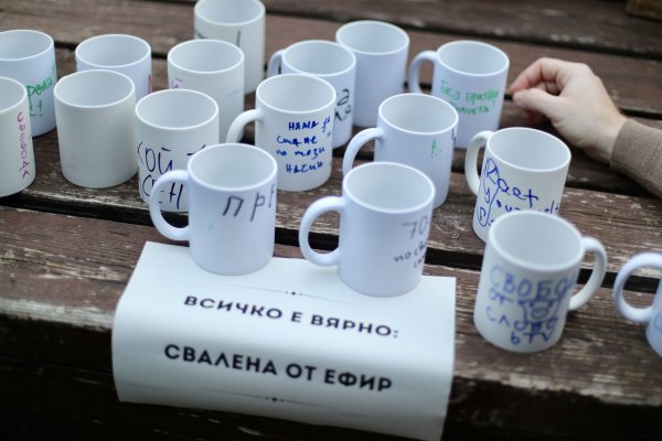 Снимка: Димитър Кьосемарлиев, Dnes.bg