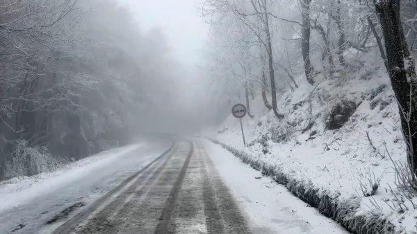Снимка: БГНЕС