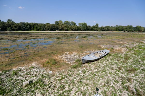 Димитър Кьосемарлиев, Dnes.bg