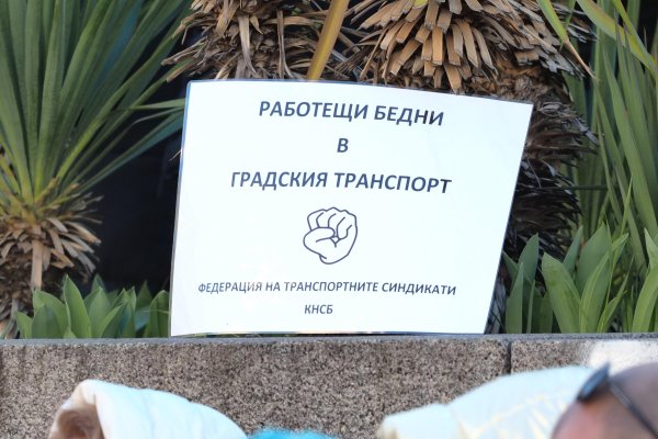 Снимка: БГНЕС