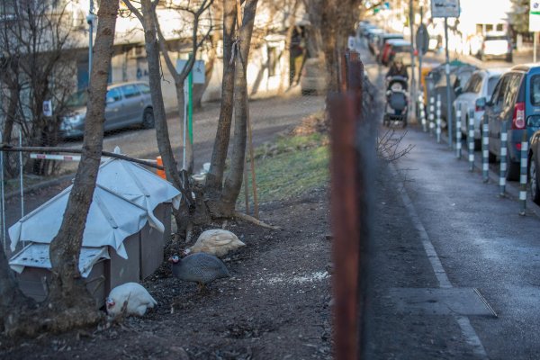 Снимка: Димитър Кьосемарлиев