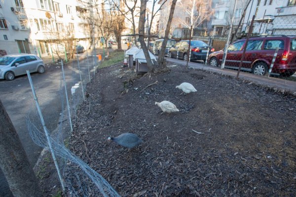 Снимка: Димитър Кьосемарлиев