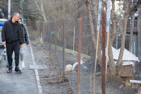 Снимка: Димитър Кьосемарлиев