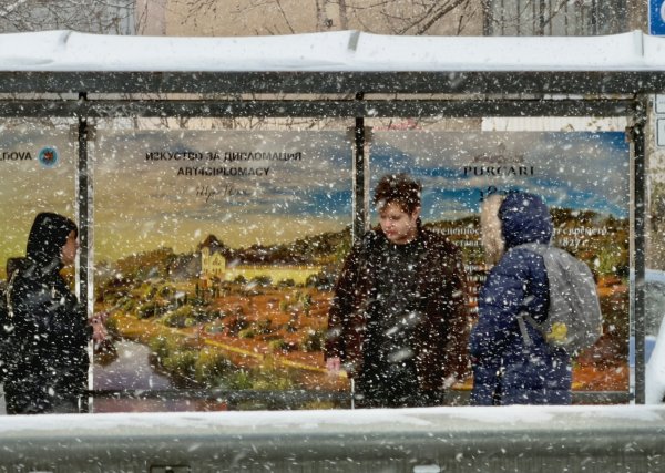 Снимка: Димитър Кьосемарлиев