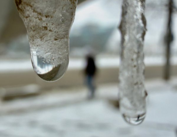 Снимка: Димитър Кьосемарлиев