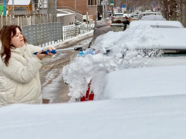 Снимка: Димитър Кьосемарлиев