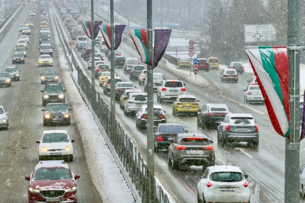 Снимка: Димитър Кьосемарлиев