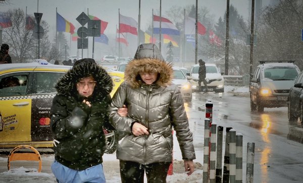 Снимка: Димитър Кьосемарлиев