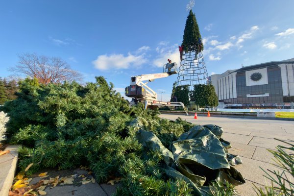 Димитър Кьосемарлиев, Dnes.bg