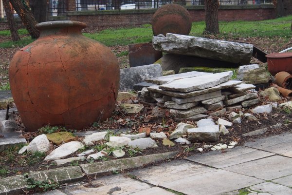 Снимка: БГНЕС