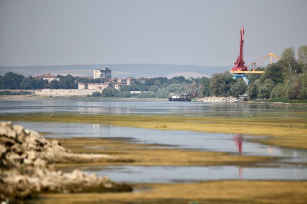 Димитър Кьосемарлиев, Dnes.bg