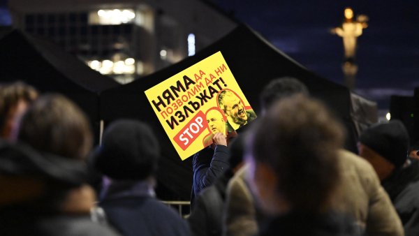 Снимка: БГНЕС