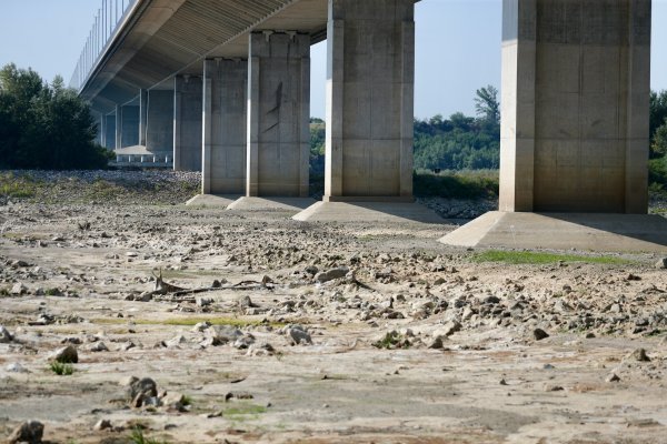 Димитър Кьосемарлиев, Dnes.bg