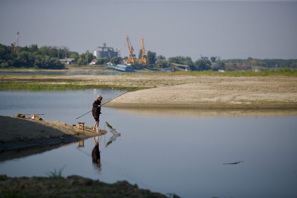 Димитър Кьосемарлиев, Dnes.bg