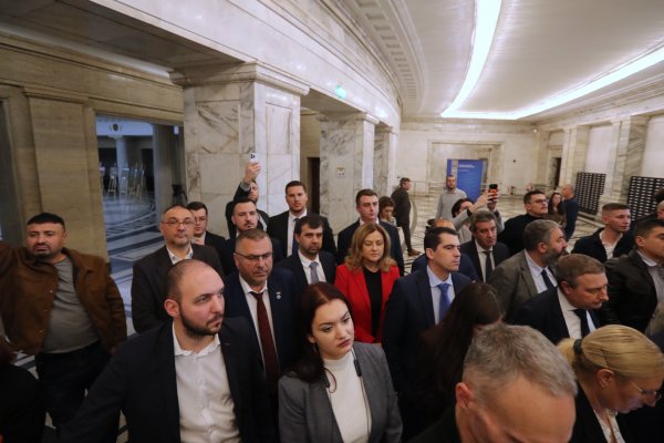 Снимка: Димитър Кьосемарлиев