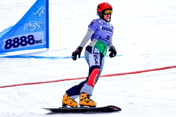 Снимка: БГНЕС