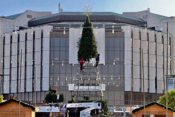 Димитър Кьосемарлиев, Dnes.bg