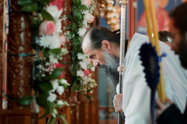 Димитър Кьосемарлиев, Dnes.bg