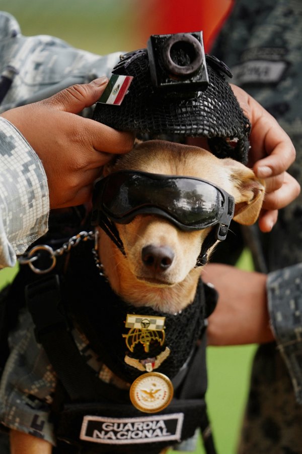 Reuters