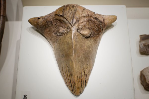 Снимка: Димитър Кьосемарлиев