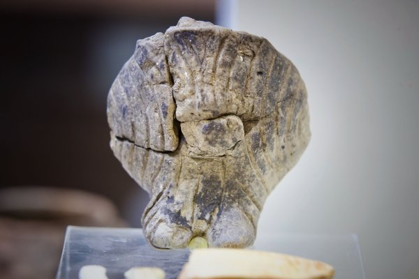 Снимка: Димитър Кьосемарлиев