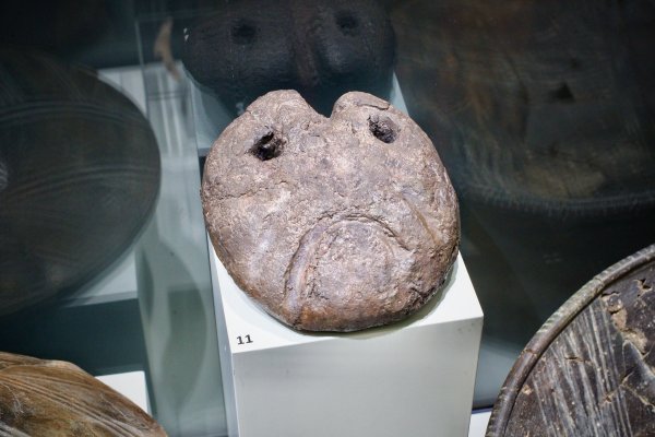 Снимка: Димитър Кьосемарлиев